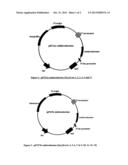 PROCESS FOR PREPARING AN INTERMEDIATE OF SITAGLIPTIN VIA ENZYMATIC     CONVERSION diagram and image