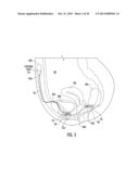 METHOD FOR DIAGNOSING THE FUNCTIONOF INTRINSIC SPHINCTERS diagram and image