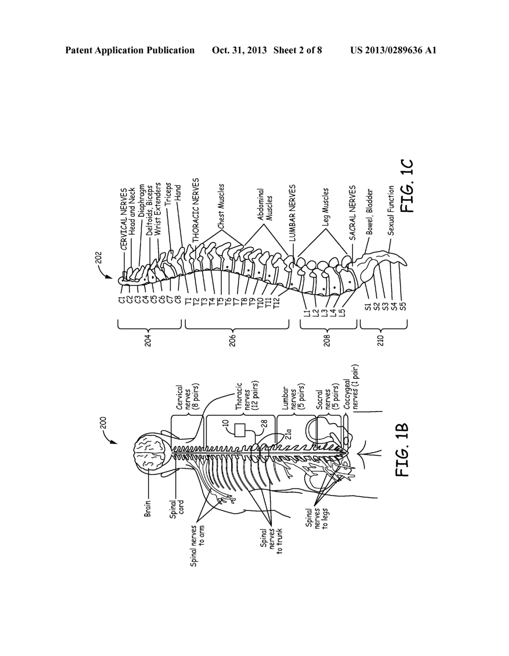 TIMED IMPLANTABLE THERAPY DELIVERY DEVICE - diagram, schematic, and image 03