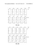 VISUALIZING TISSUE ACTIVATED BY ELECTRICAL STIMULATION diagram and image