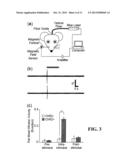 Optical Tissue Interface Method and Apparatus For Stimulating Cells diagram and image