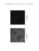 SYSTEMS AND METHODS FOR SELECTING AND ANALYZING PARTICLES IN A BIOLOGICAL     TISSUE diagram and image