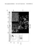 SYSTEMS AND METHODS FOR SELECTING AND ANALYZING PARTICLES IN A BIOLOGICAL     TISSUE diagram and image