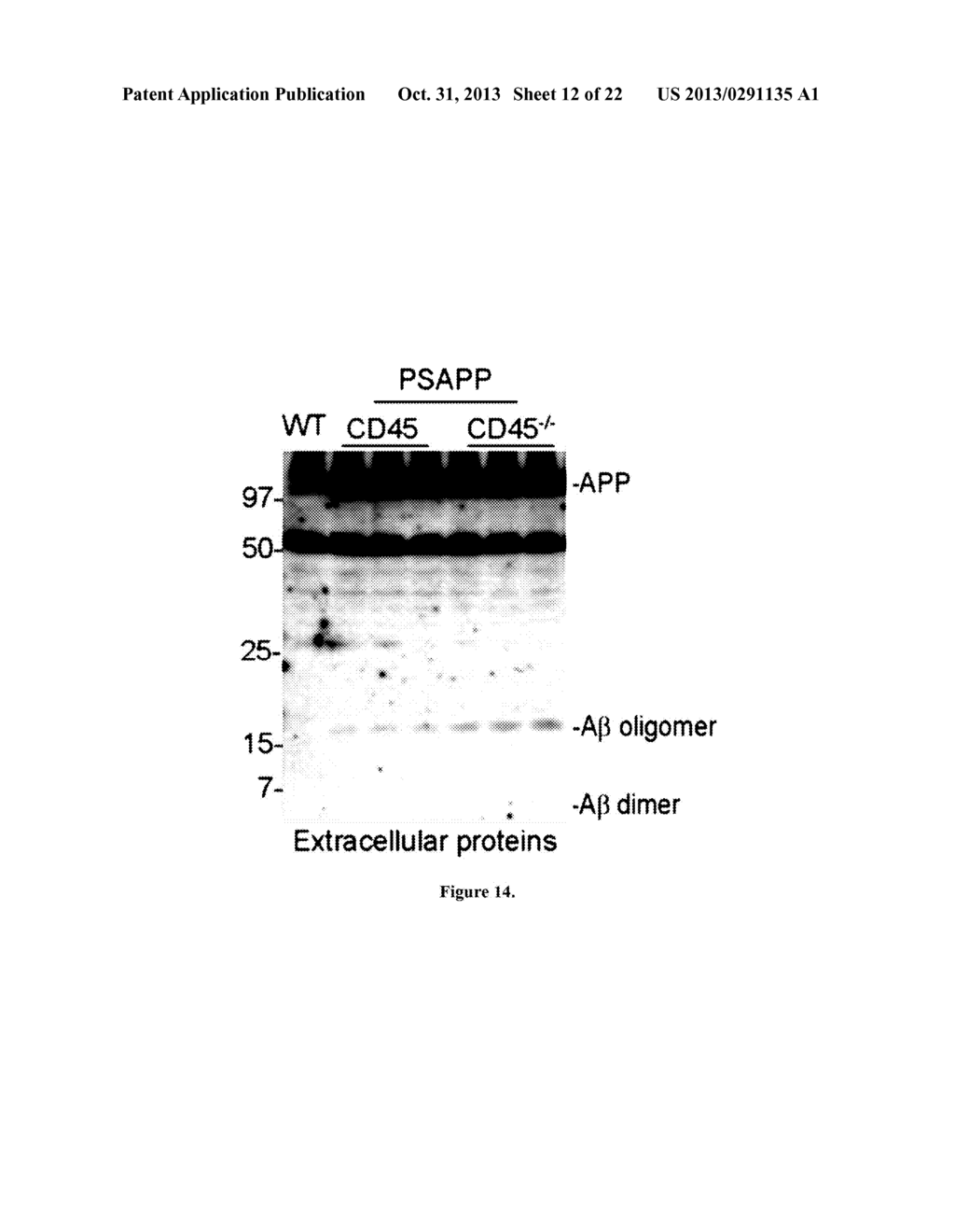 TRANSGENIC MODEL OF ALZHEIMER'S DISEASE - diagram, schematic, and image 13