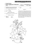 DOUBLE-WALLED PLANTER WITH WATER RESERVOIR AND WATER LEVEL GAUGE diagram and image