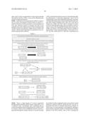 APPARATUS FOR CONCENTRATING AND DILUTING SPECIFIC GAS AND METHOD FOR     CONCENTRATING AND DILUTING SPECIFIC GAS diagram and image