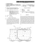 Pipe Section Having Polyarylene Sulfide Composition Barrier Layer diagram and image