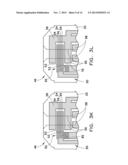 BIOSENSOR WITH PREDETERMINED DOSE RESPONSE CURVE AND METHOD OF     MANUFACTURING diagram and image