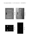 MOLDING OF MICRON AND NANO SCALE FEATURES diagram and image