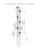 GAS MONITORING SYSTEM USING A RANDOM PHASE MULTIPLE ACCESS SYSTEM diagram and image