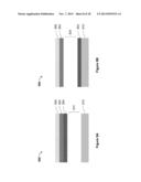 GREY SCALE ELECTROMECHANICAL SYSTEMS DISPLAY DEVICE diagram and image