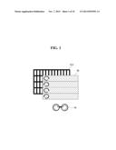 Stereoscopic image display device and method for driving the same diagram and image