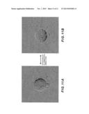 MICROSCOPE SYSTEM diagram and image