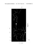 SYSTEMS AND METHODS FOR WIDEFIELD MAPPING OF THE RETINA diagram and image