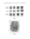 MULTI-RESOLUTIONAL TEXTURE ANALYSIS FINGERPRINT LIVENESS SYSTEMS AND     METHODS diagram and image