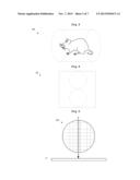 DATA PROCESSOR AND RADIATION TOMOGRAPHY APPARATUS PROVIDED WITH THE SAME diagram and image