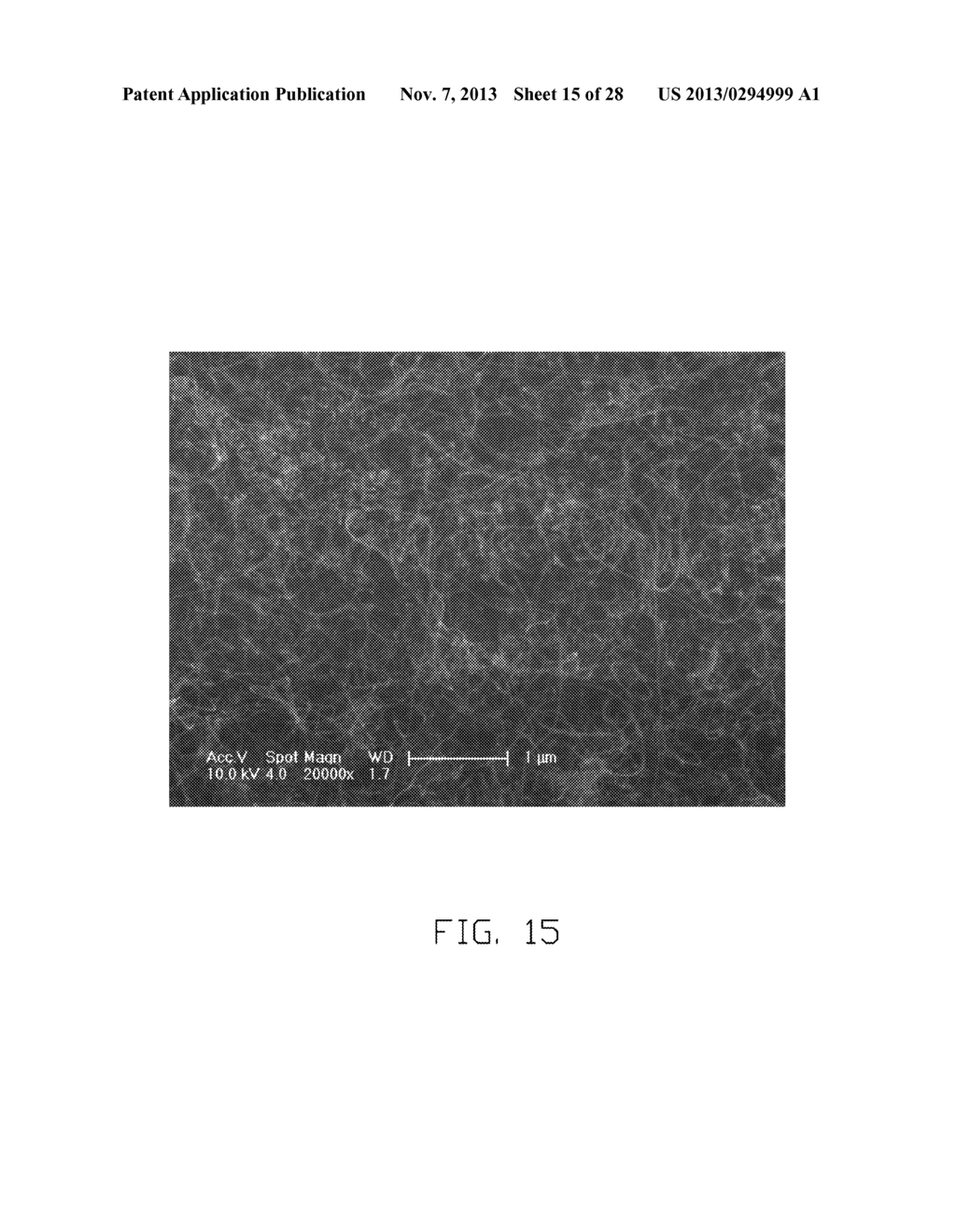 METHOD FOR MAKING CARBON NANOTUBE STRUCTURE - diagram, schematic, and image 16