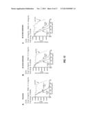 ANTI-PMEL17 ANTIBODIES AND IMMUNOCONJUGATES diagram and image