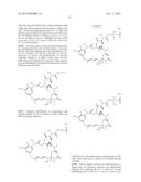 ANTI-PMEL17 ANTIBODIES AND IMMUNOCONJUGATES diagram and image