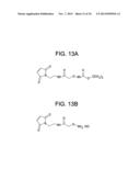 HER2 BINDING PEPTIDES LABELLED WITH A 18F - CONTAINING ORGANOSILICON     COMPOUND diagram and image