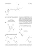 HER2 BINDING PEPTIDES LABELLED WITH A 18F - CONTAINING ORGANOSILICON     COMPOUND diagram and image