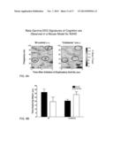 SIGNATURES OF ELECTROENCEPHALOGRAPHIC OSCILLATIONS diagram and image