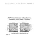 SIGNATURES OF ELECTROENCEPHALOGRAPHIC OSCILLATIONS diagram and image