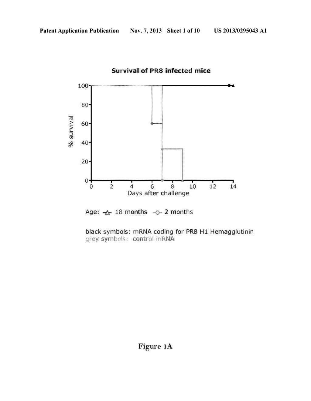 VACCINATION IN ELDERLY PATIENTS - diagram, schematic, and image 02