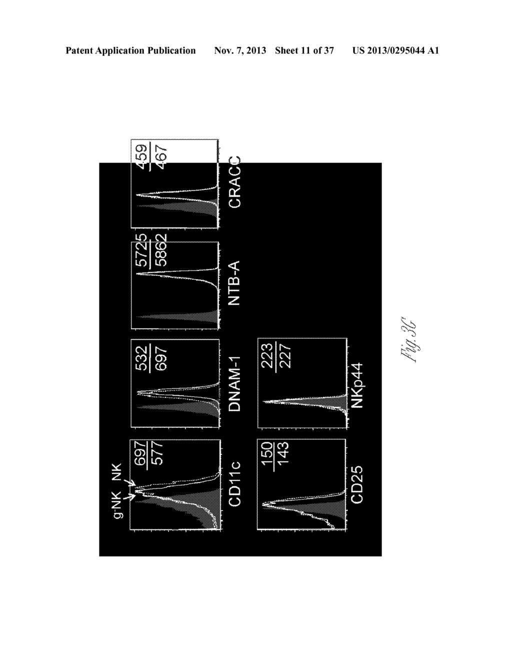 NATURAL KILLER CELLS WITH ENHANCED IMMUNE RESPONSE - diagram, schematic, and image 12