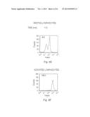 RHODAMINE DERIVATIVES FOR PHOTODYNAMIC DIAGNOSIS AND TREATMENT diagram and image