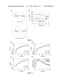 Polyurethane Composite for Wound Healing and Methods Thereof diagram and image