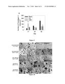 Polyurethane Composite for Wound Healing and Methods Thereof diagram and image