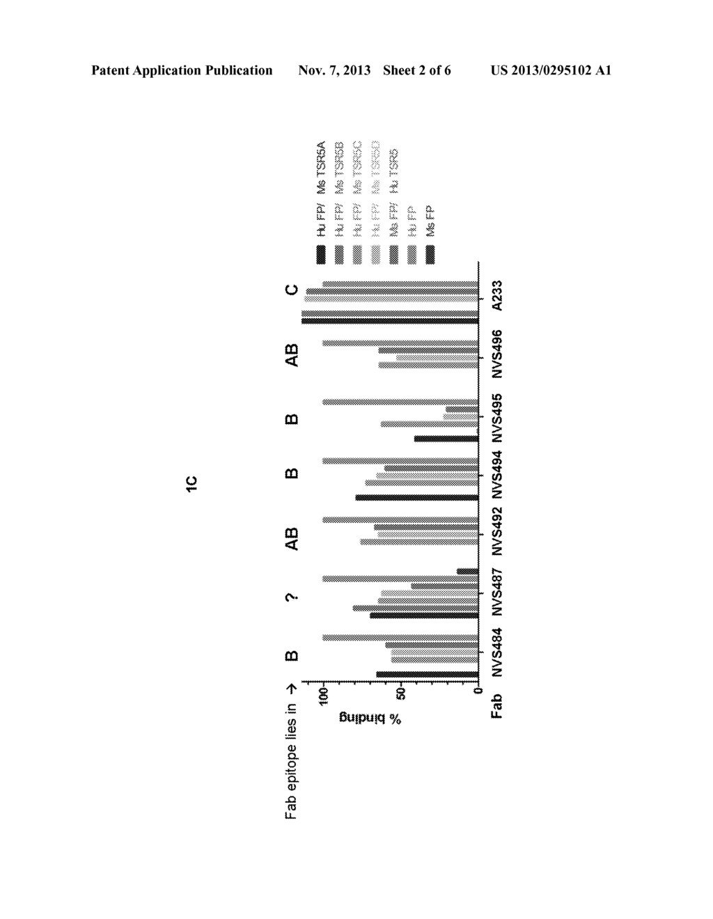 COMPOSITIONS AND METHODS FOR ANTIBODIES TARGETING FACTOR P - diagram, schematic, and image 03