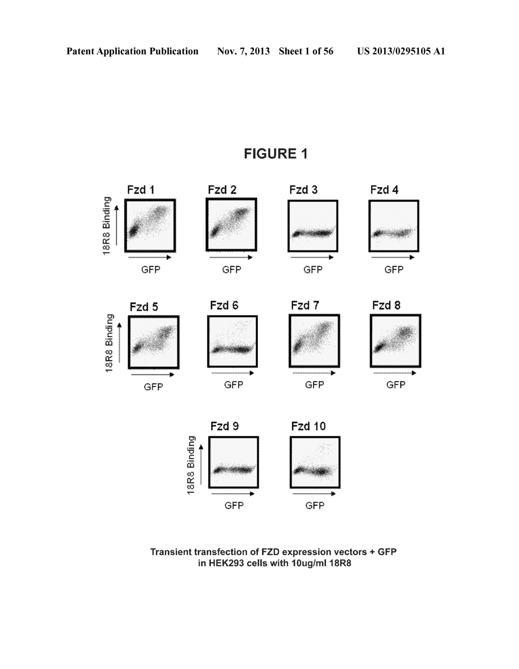 FRIZZLED-BINDING AGENTS AND USES THEREOF - diagram, schematic, and image 02