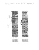 Frizzled-Binding Agents And Uses Thereof diagram and image