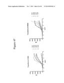 Frizzled-Binding Agents And Uses Thereof diagram and image