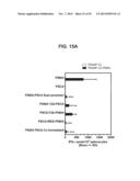 PROSTATE-ASSOCIATED ANTIGENS AND VACCINE-BASED IMMUNOTHERAPY REGIMENS diagram and image