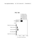 PROSTATE-ASSOCIATED ANTIGENS AND VACCINE-BASED IMMUNOTHERAPY REGIMENS diagram and image