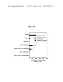 PROSTATE-ASSOCIATED ANTIGENS AND VACCINE-BASED IMMUNOTHERAPY REGIMENS diagram and image