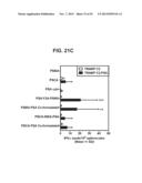 PROSTATE-ASSOCIATED ANTIGENS AND VACCINE-BASED IMMUNOTHERAPY REGIMENS diagram and image