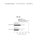 PROSTATE-ASSOCIATED ANTIGENS AND VACCINE-BASED IMMUNOTHERAPY REGIMENS diagram and image