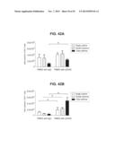 PROSTATE-ASSOCIATED ANTIGENS AND VACCINE-BASED IMMUNOTHERAPY REGIMENS diagram and image