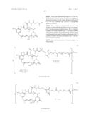 Folate Receptor 1 Antibodies and Immunoconjugates and Uses Thereof diagram and image