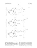 Folate Receptor 1 Antibodies and Immunoconjugates and Uses Thereof diagram and image