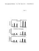 ELASTIN DIGEST COMPOSITIONS AND METHODS UTILIZING SAME diagram and image