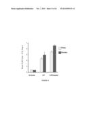 FUNCTIONAL INFLUENZA VIRUS LIKE PARTICLES (VLPs) diagram and image