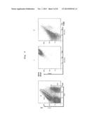 IMMUNOTHERAPY USING ALLO-NKT CELLS, CELLS FOR IMMUNOTHERAPY IN WHICH ALPHA     CHAIN OF T-CELL RECEPTOR (TCR) GENE HAS BEEN REARRANGED TO UNIFORM     V-ALPHA-J-ALPHA, AND BANKING OF NKT CELLS DERIVED FROM SAID CELLS diagram and image