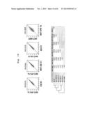 IMMUNOTHERAPY USING ALLO-NKT CELLS, CELLS FOR IMMUNOTHERAPY IN WHICH ALPHA     CHAIN OF T-CELL RECEPTOR (TCR) GENE HAS BEEN REARRANGED TO UNIFORM     V-ALPHA-J-ALPHA, AND BANKING OF NKT CELLS DERIVED FROM SAID CELLS diagram and image