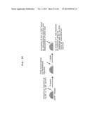 IMMUNOTHERAPY USING ALLO-NKT CELLS, CELLS FOR IMMUNOTHERAPY IN WHICH ALPHA     CHAIN OF T-CELL RECEPTOR (TCR) GENE HAS BEEN REARRANGED TO UNIFORM     V-ALPHA-J-ALPHA, AND BANKING OF NKT CELLS DERIVED FROM SAID CELLS diagram and image