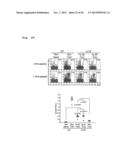 IMMUNOTHERAPY USING ALLO-NKT CELLS, CELLS FOR IMMUNOTHERAPY IN WHICH ALPHA     CHAIN OF T-CELL RECEPTOR (TCR) GENE HAS BEEN REARRANGED TO UNIFORM     V-ALPHA-J-ALPHA, AND BANKING OF NKT CELLS DERIVED FROM SAID CELLS diagram and image